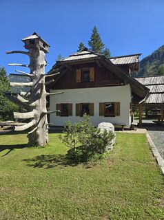 Fotografija s spletne strani Damir Habuš na poti