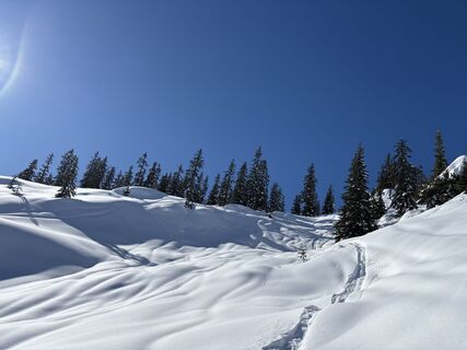 Photo de Heinz Sperl le long du parcours