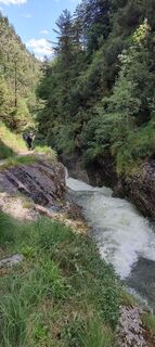 Photo de grassler le long du parcours