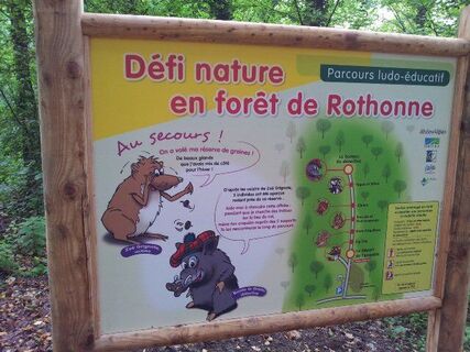 Parcours à énigme forêt de Rothonne