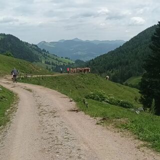 Foto von Alfred Büschl entlang der Tour