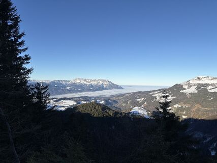 Фото с сайта Heinz Sperl во время экскурсии