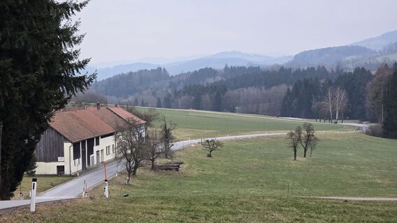 Photo de Moonhillwolf le long du parcours