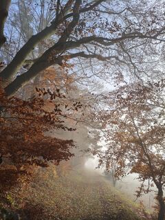 Fotografia z Fredi Oppel na trase