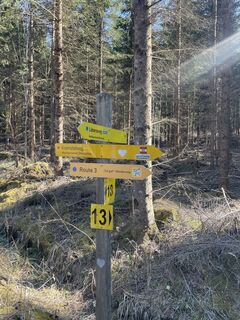 Foto von Birgit Fritsch entlang der Tour