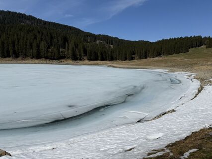 Fotografia z Daniel Herz na trase