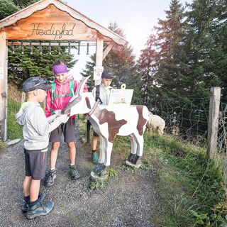 Geissen auf dem Heidipfad
