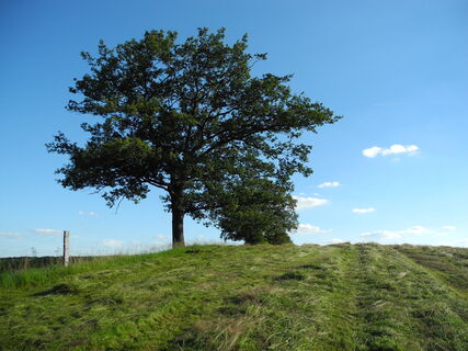 Eindrücke am Wegesrand