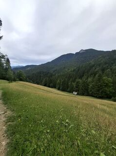 Foto von Miha Gros entlang der Tour