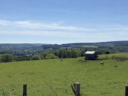 Fotografia z Melle Koletzki na trase