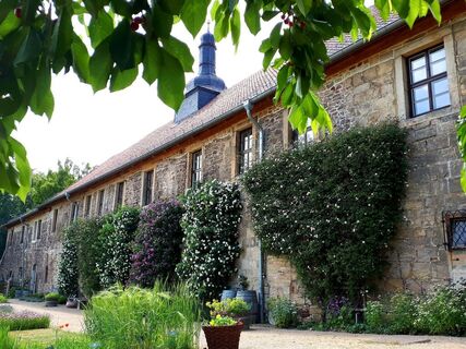 Kloster Michaelstein Rosenblüten in den Gärten
