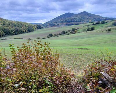 Ausblick am Stuvenberg