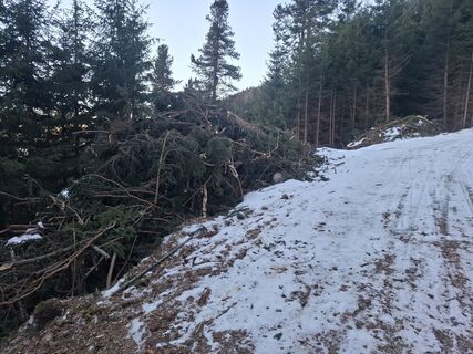 Foto fra Albert Angerer63 underveis på turen