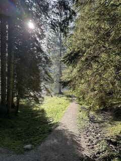 Foto von Babs Holz entlang der Tour