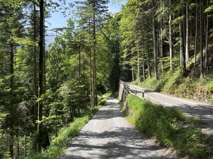 Foto fra Dominik Wymann underveis på turen