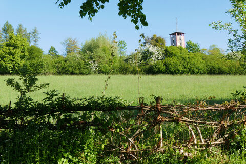 Zemljevid