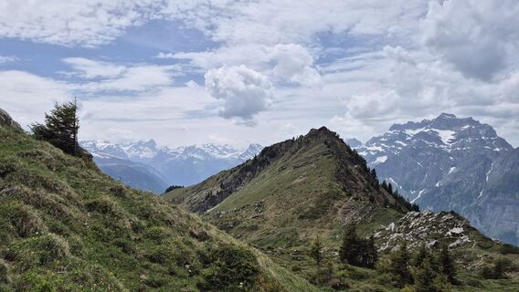 Photo de alinradu le long du parcours
