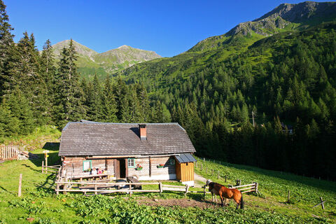 Winkleralm