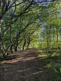 Photo de Kaiser 0_o le long du parcours