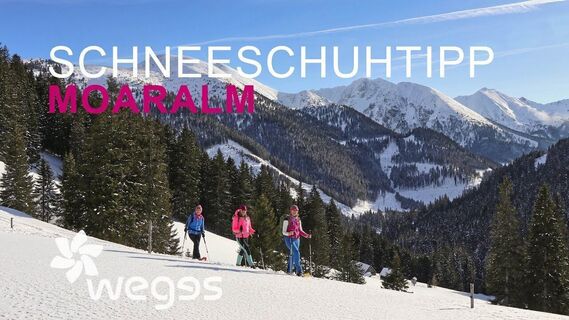 SchneeschuhTIPP #5 in der Schneeschuhregion Murtal:Hohentauern / Triebental / Moaralm