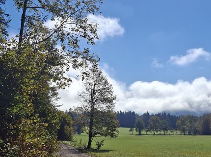 Foto von kstb entlang der Tour