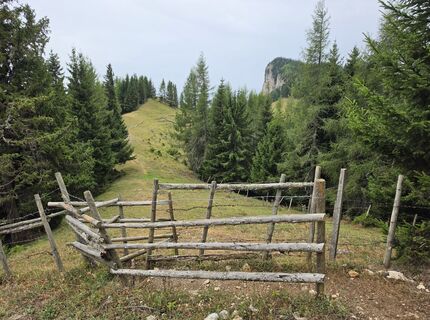 Foto von MRDL entlang der Tour