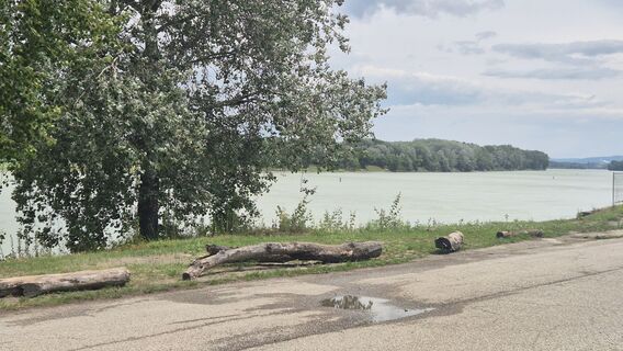 Fotografia z Claudia Maurer na trase