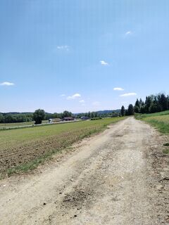 Foto von Max Max 3 entlang der Tour