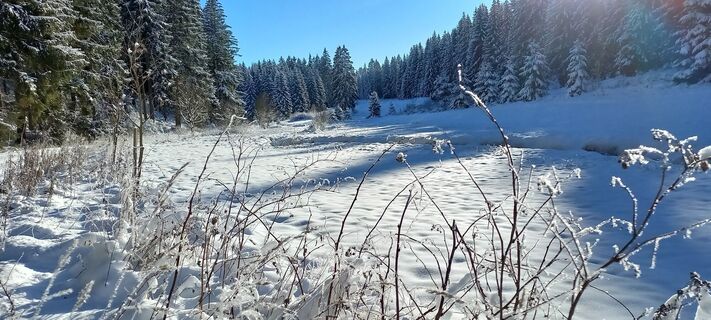Blick ins Zinsbachtal