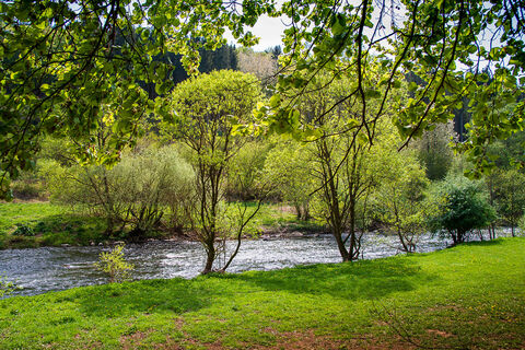 Der Bitburger LandGang in Malberg führt vorbei an der Kyll