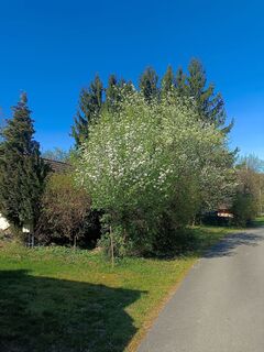 Photo de flexl-f le long du parcours