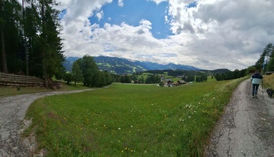 Foto von Dieter Dechantsreiter entlang der Tour