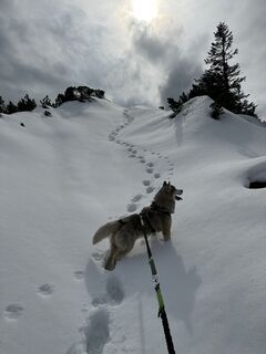 Fotografia z Hieronimus Nickl na trase