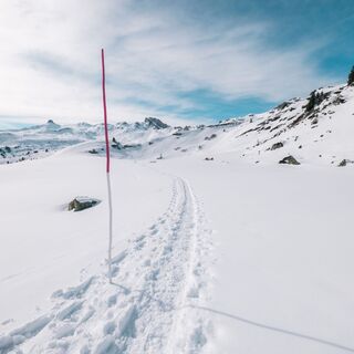 Schneeschuhtrail Plattis