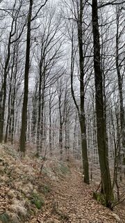 Fotografia z Martin Hahn na trase