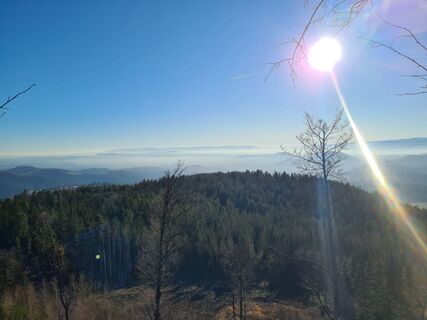 Foto von Hans Reiter 2 entlang der Tour
