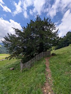 Photo de Poe Michi le long du parcours