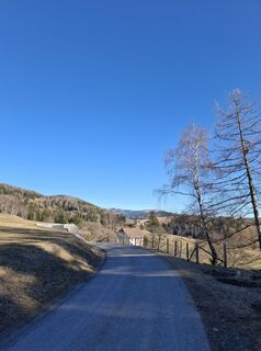 Fotografia z Franz Scharf 4 na trase