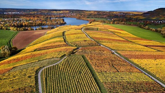 DSGVO WT L wenstein Breitenauer See Weinlandschaft im Herbst WEB