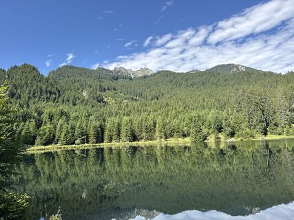 Foto von Grizzli entlang der Tour