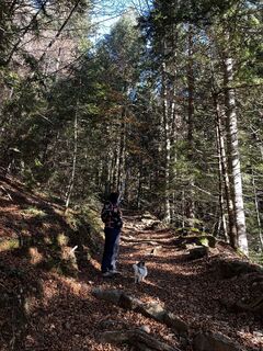 Fotografia z Alberto Ghiretti na trase