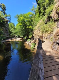 Photo de Maren Auer le long du parcours