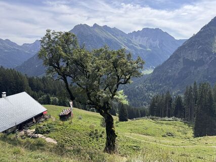 Photo de UliRx le long du parcours
