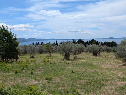 Fotografia z Herve Andeler na trase