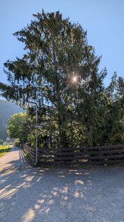 Fotografija s spletne strani Manfred Bauer na poti