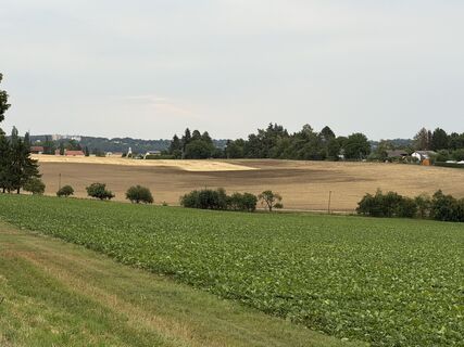 Foto von Schaali entlang der Tour