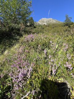 Foto de Monika Loeb a lo largo del recorrido