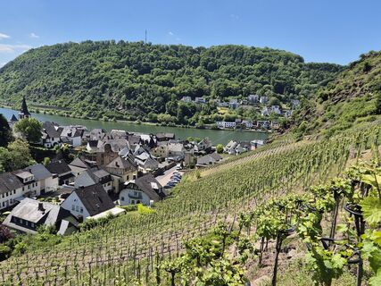 Zdjęcie z Frellie wzdłuż trasy