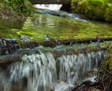 Kraft der Tiebelquellen