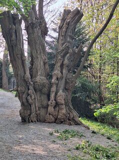 Fotografija s spletne strani Mimi na poti